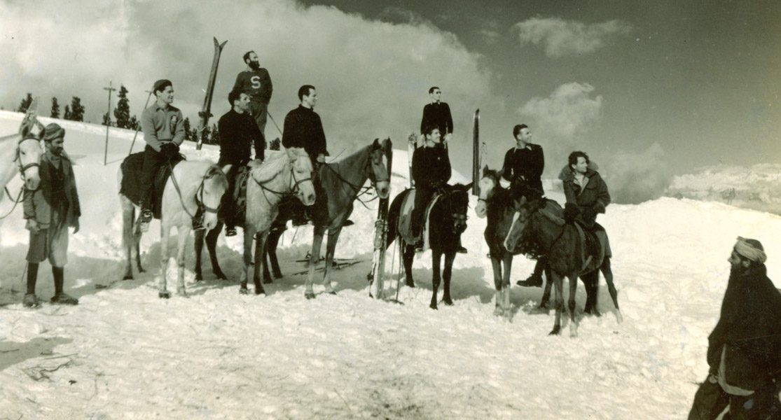 Ponies used for the ascent in Kashmir